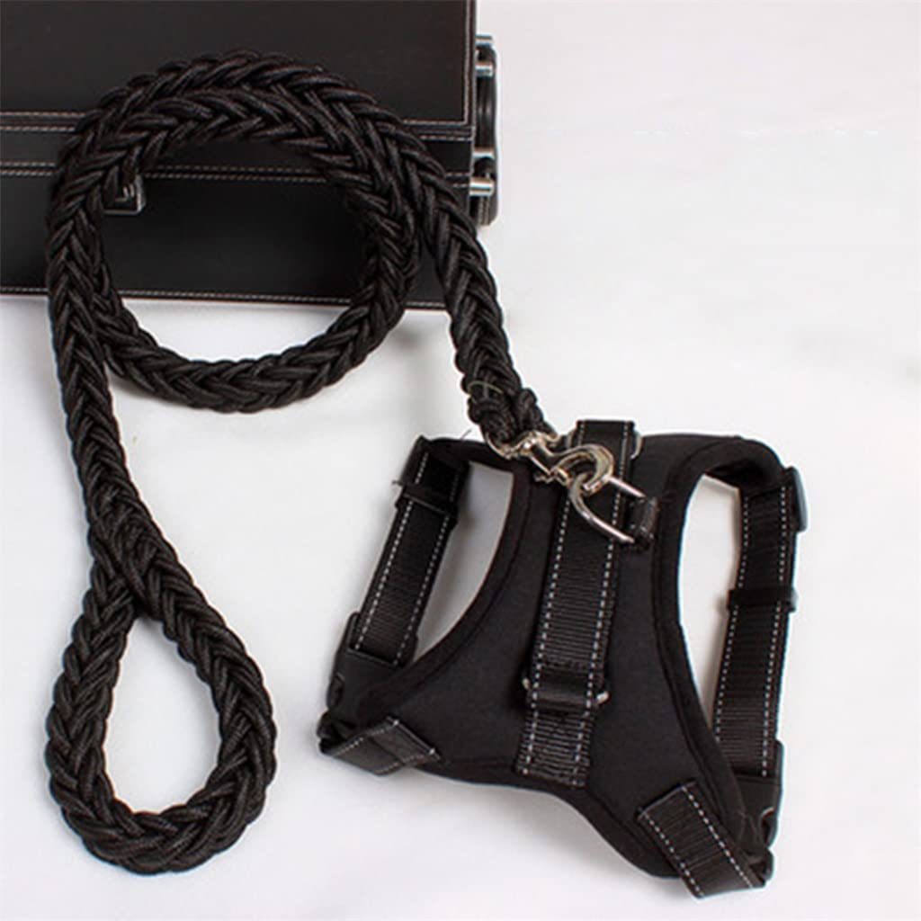 Adjustable Dog Vest Harness & Leash Set for Walking